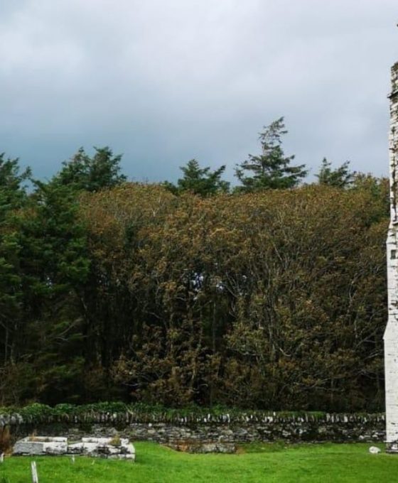 Rathbarry church & graveyard, Castlefreke, Cork