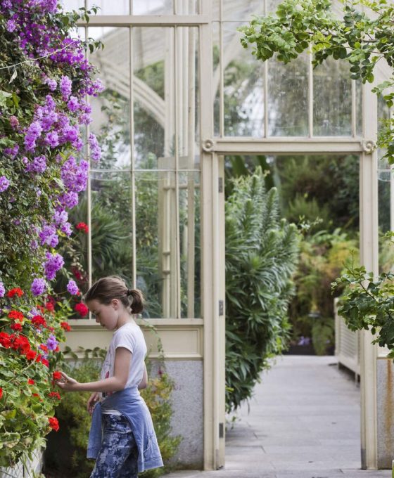 National Botanic Gardens | Ireland Chauffeur Travel